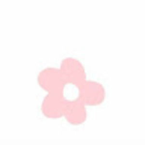 Meet your Posher, Ashlie